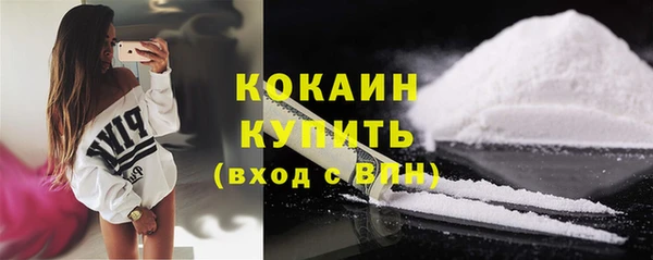 винт Дмитриев