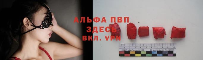 гидра Дмитровск