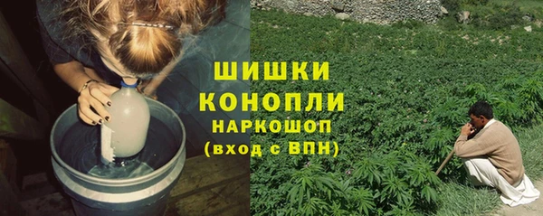 винт Дмитриев